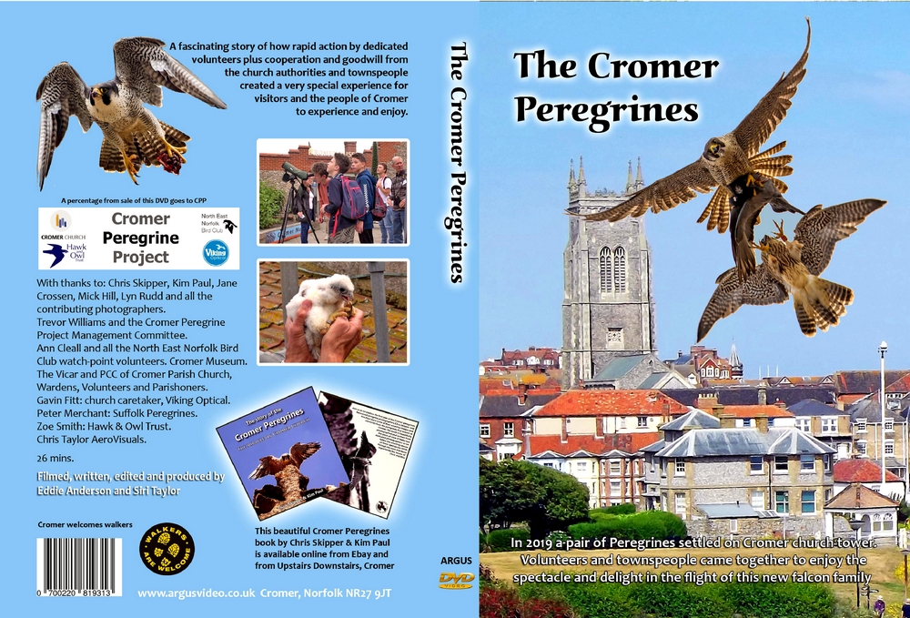 The Cromer Peregrines